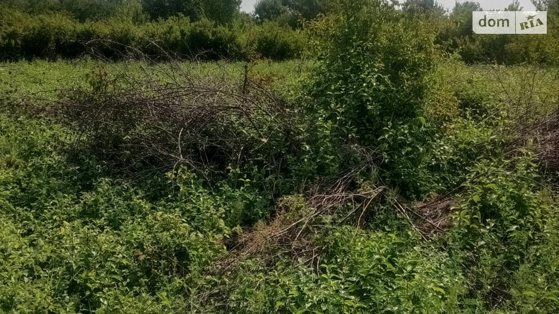 Продается земельный участок 6.86 соток в Закарпатской области, цена: 19500 $ - фото 2