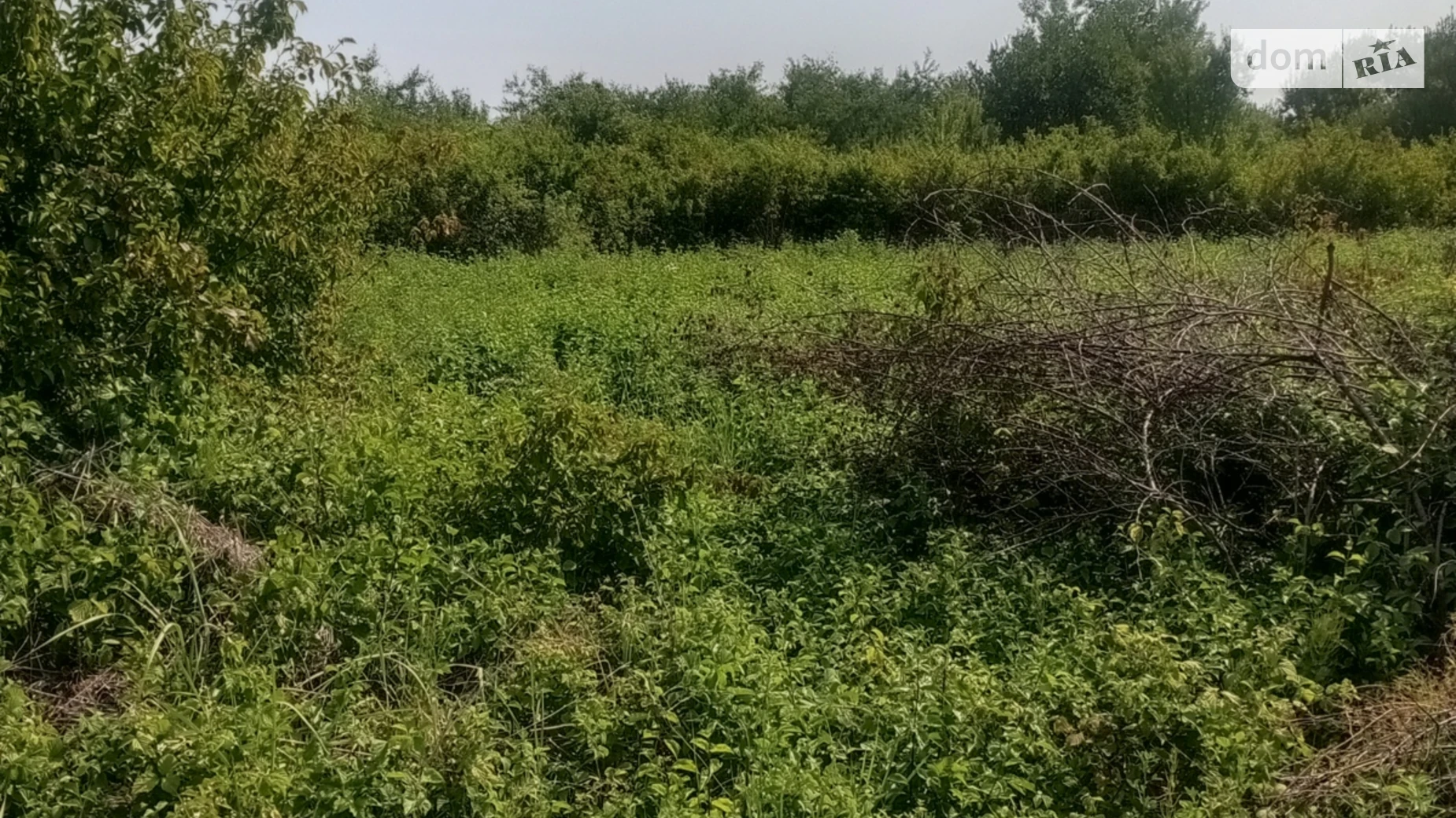 Продается земельный участок 6.86 соток в Закарпатской области, цена: 19500 $ - фото 3