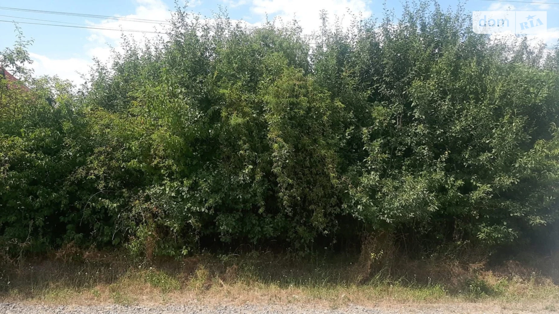 ул. 8-го Марта Минай, цена: 45000 $ - фото 2