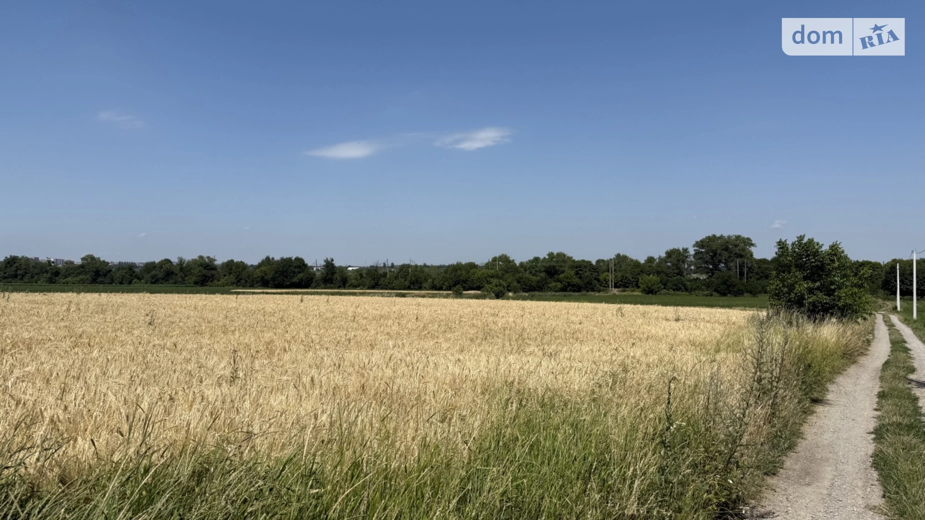 Продается земельный участок 10 соток в Тернопольской области, цена: 18000 $ - фото 3