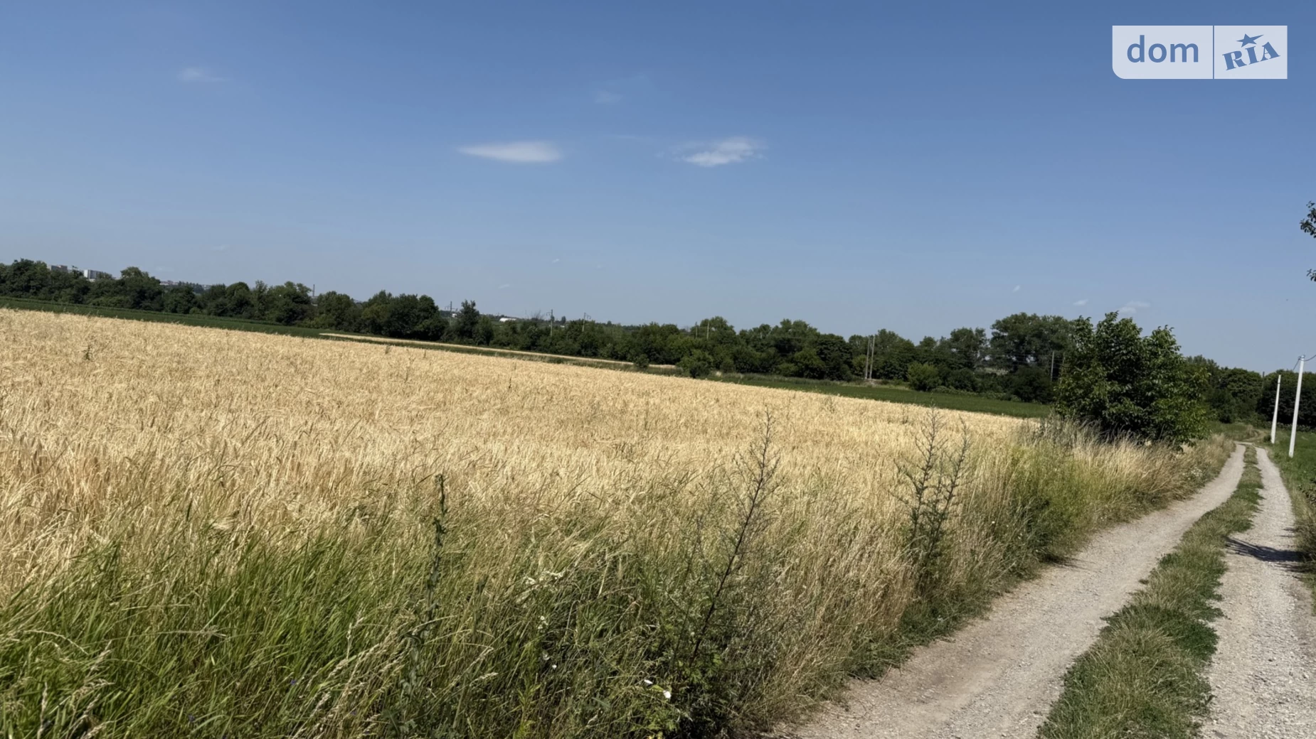 Продается земельный участок 10 соток в Тернопольской области, цена: 18000 $ - фото 4