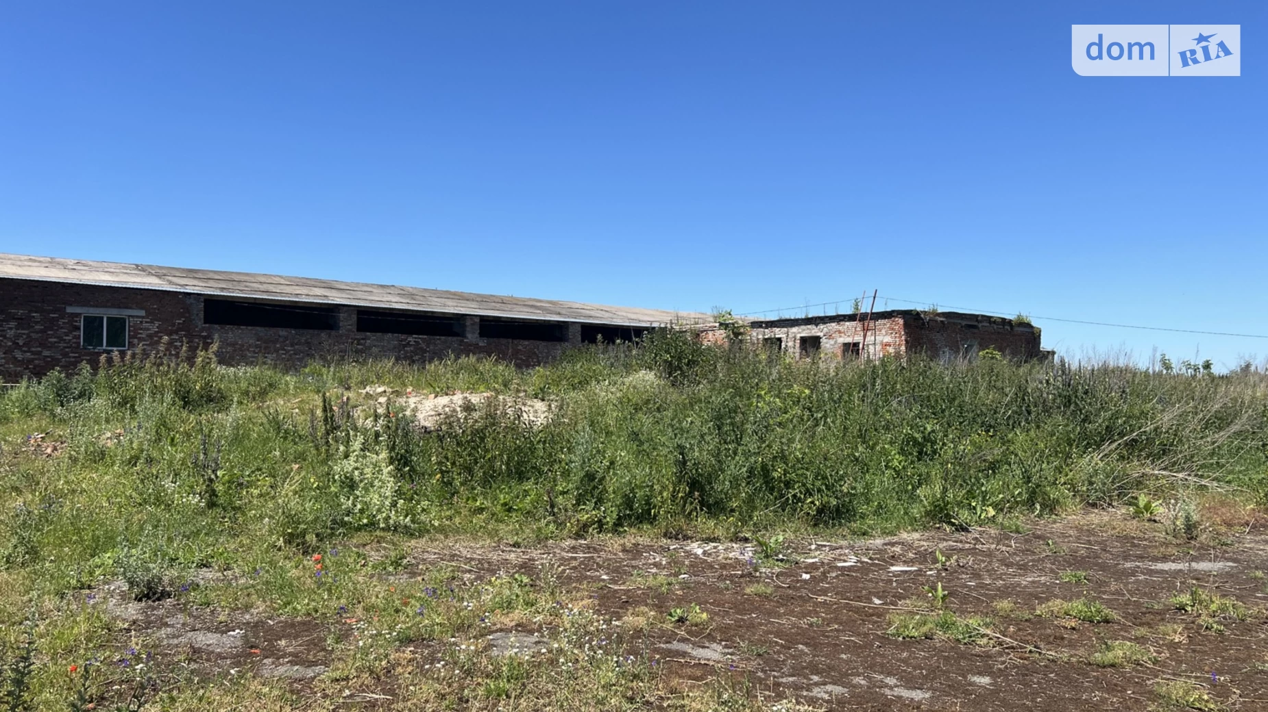 Літвінова Аркадьевцы, цена: 60000 $ - фото 4