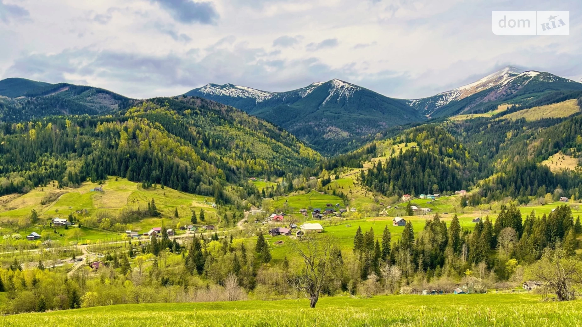 уроч. Кошарище Дземброня, цена: 90000 $ - фото 5