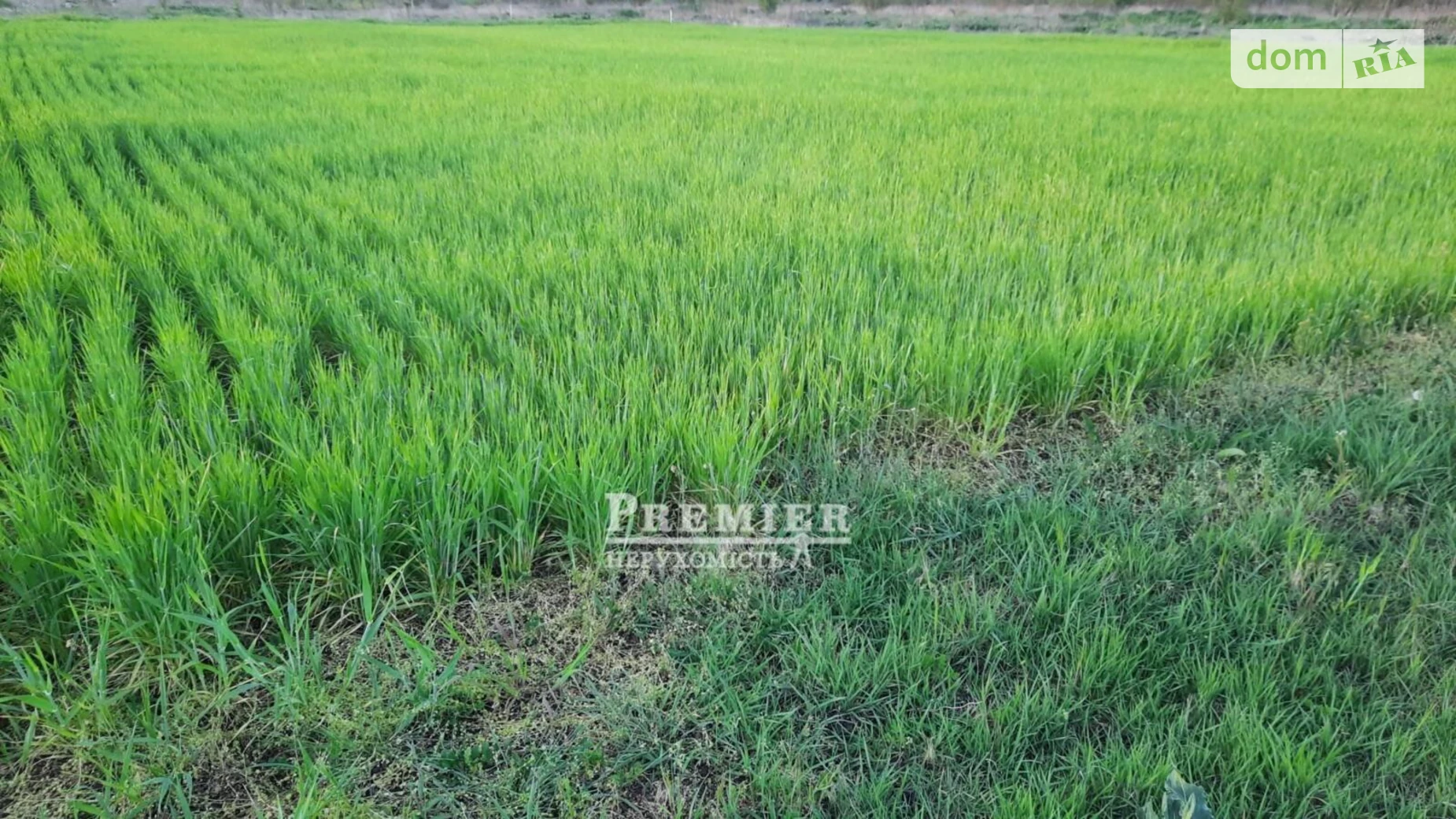 Продается земельный участок 10.2 соток в Одесской области, цена: 16000 $ - фото 5