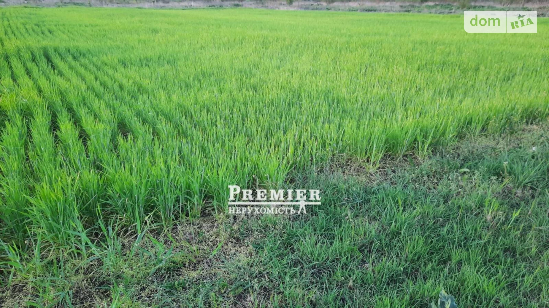 Продается земельный участок 10.2 соток в Одесской области, цена: 13000 $ - фото 5