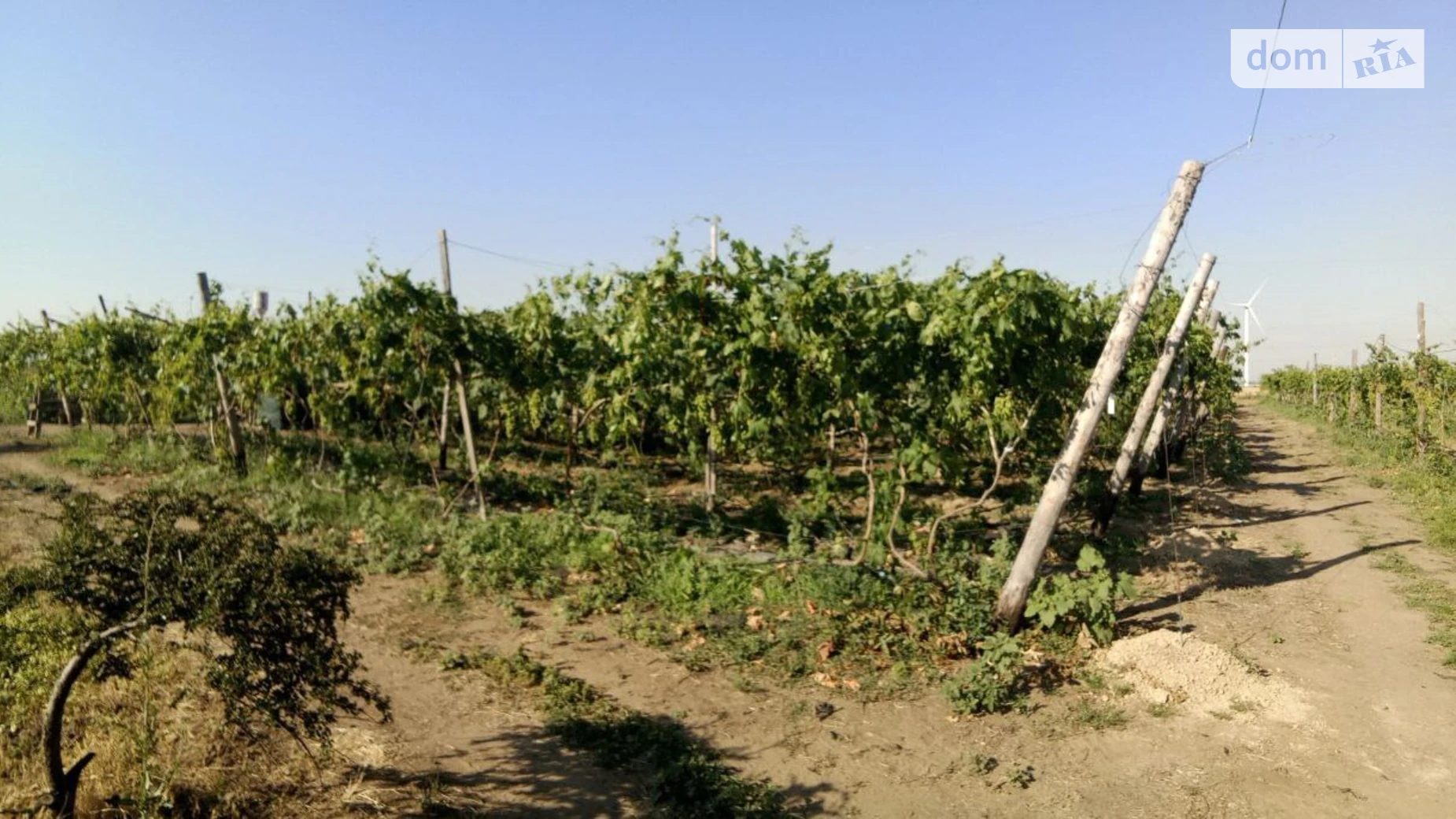 Продается земельный участок 2.5 соток в Николаевской области, цена: 500000 $ - фото 2