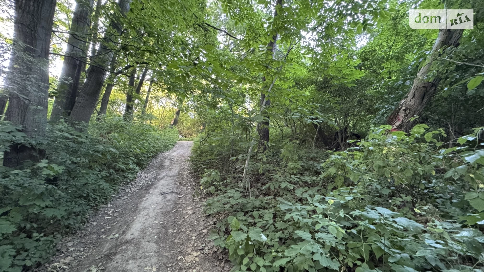 Продається земельна ділянка 13.46 соток у Львівській області, цена: 145000 $ - фото 4