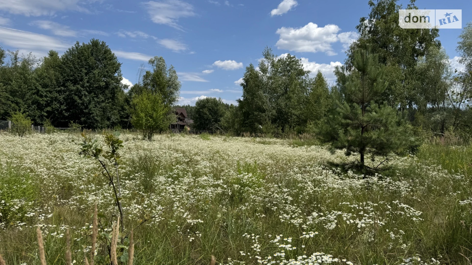 Продается земельный участок 25 соток в Киевской области, цена: 12500 $ - фото 4
