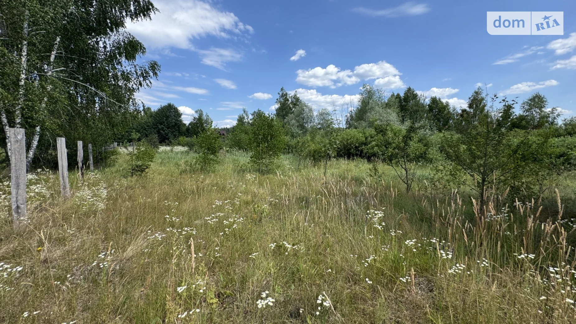 Продается земельный участок 25 соток в Киевской области, цена: 12500 $ - фото 5