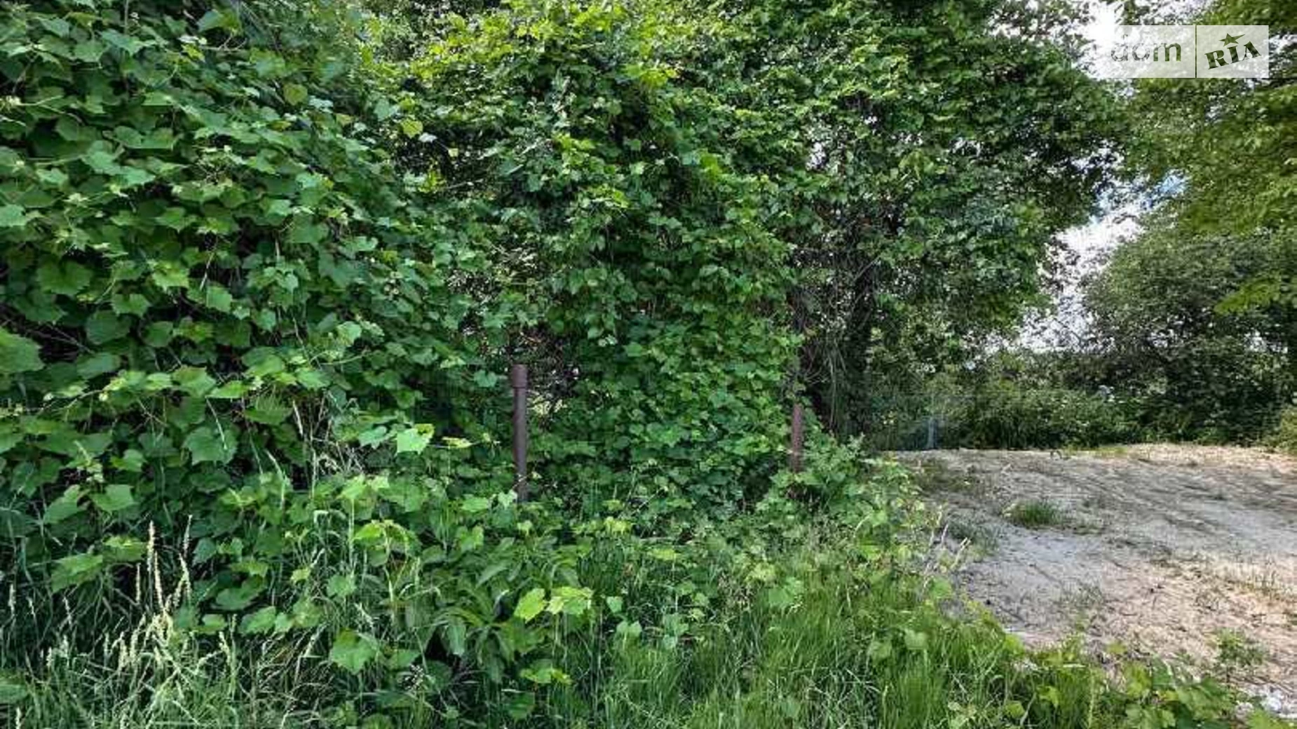 Продается земельный участок 45 соток в Львовской области, цена: 140000 $ - фото 5