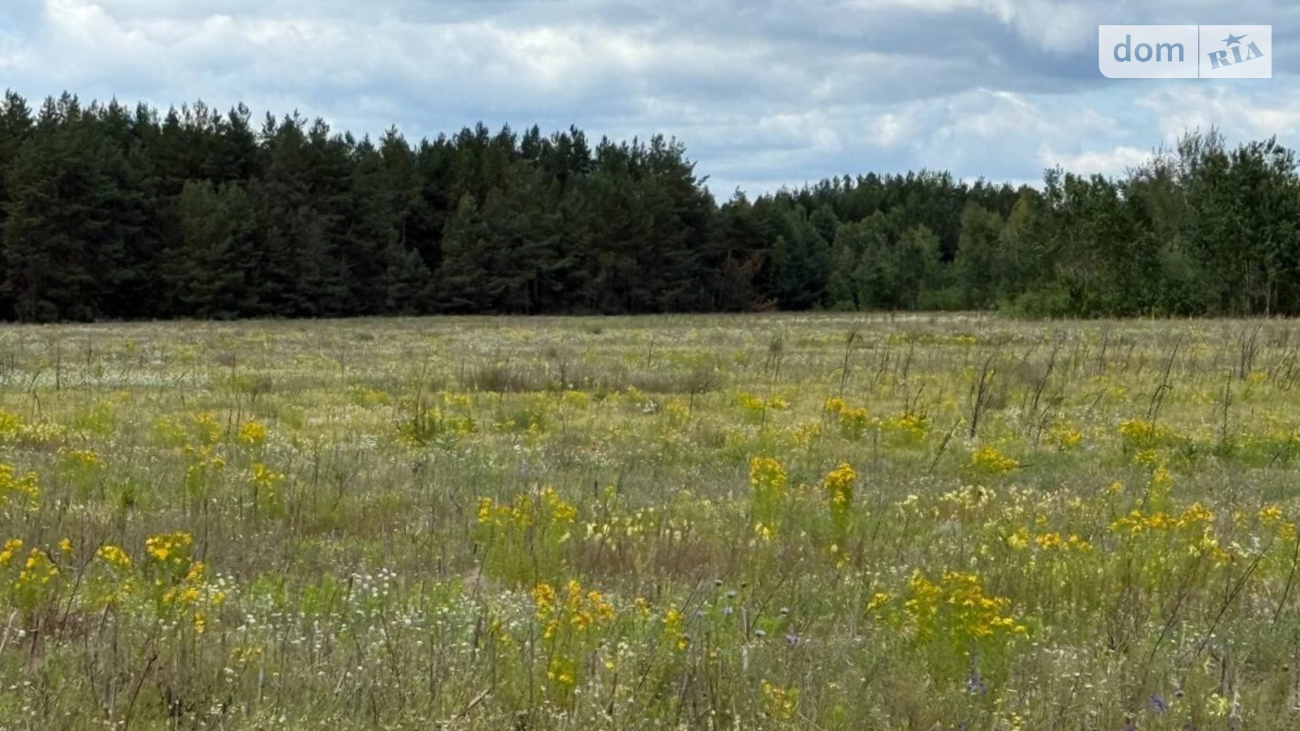 ул. Богдана Хмельницкого Дружня, цена: 5000 $ - фото 3