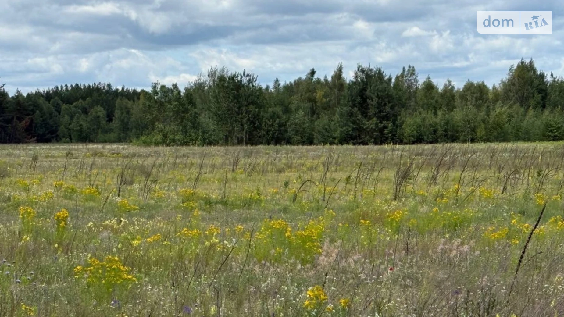 Продается земельный участок 15 соток в Киевской области, цена: 5000 $ - фото 2