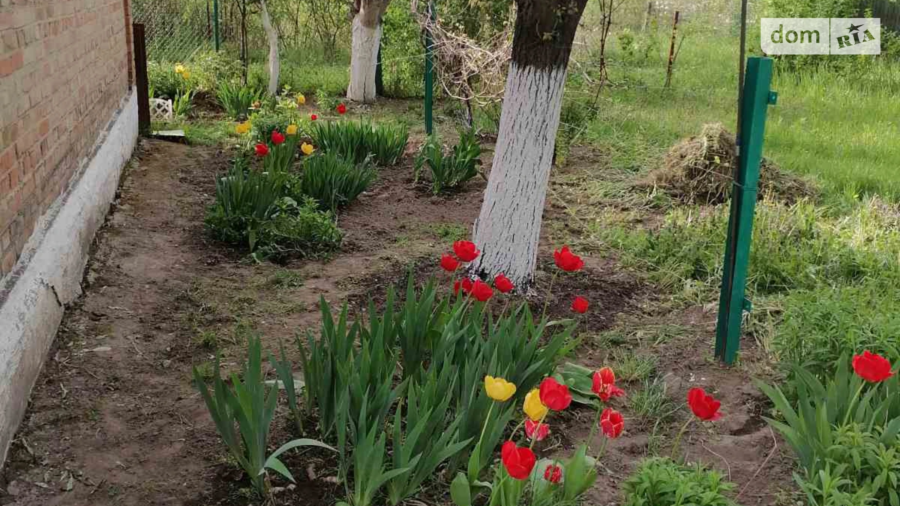 Продается дом на 2 этажа 38 кв. м с подвалом, цена: 26000 $ - фото 3