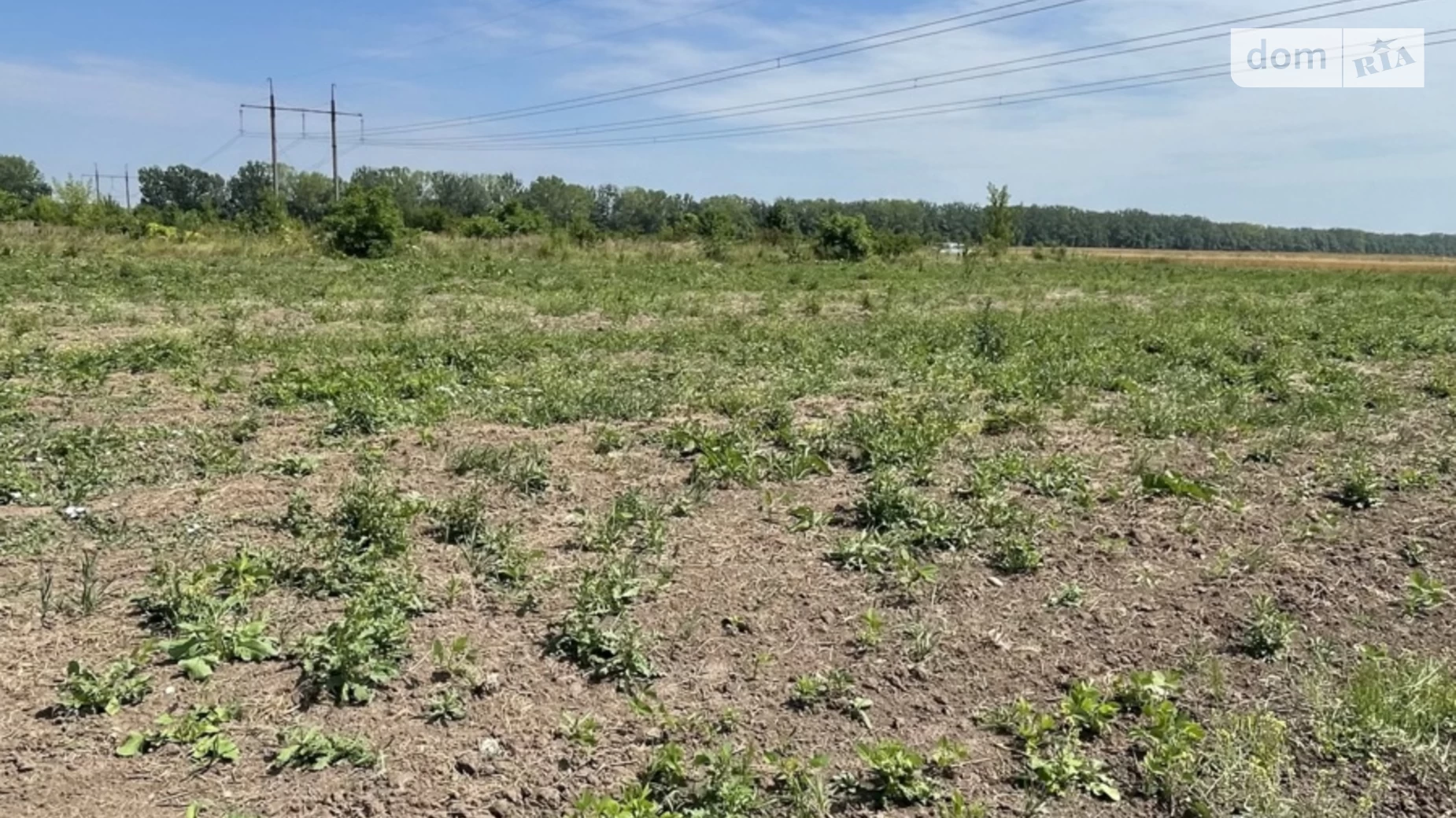 ул. Тисменецкая Никитинцы (Ивано-Франковск), цена: 15000 $ - фото 3