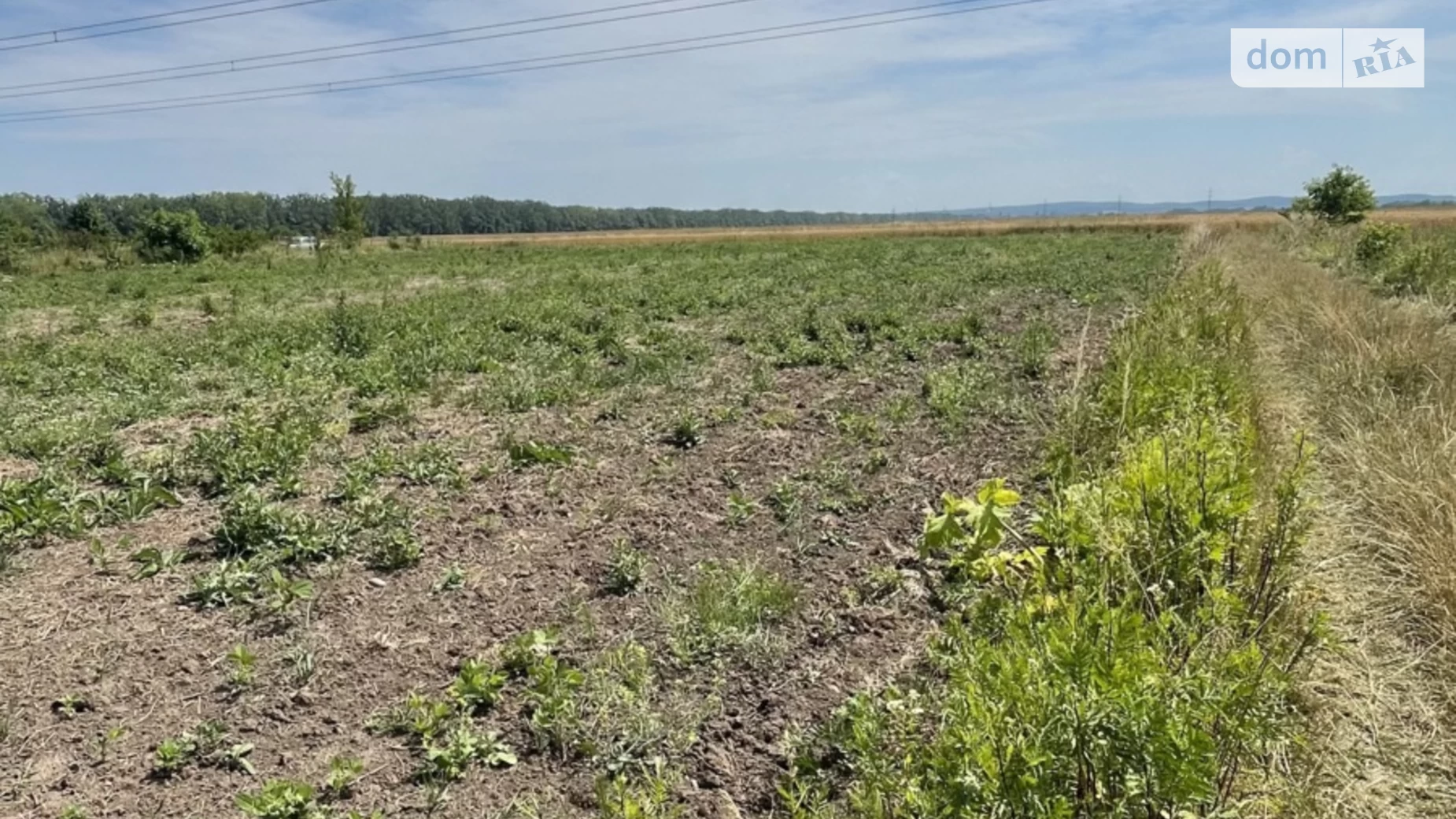 ул. Тисменецкая Никитинцы (Ивано-Франковск), цена: 15000 $ - фото 4