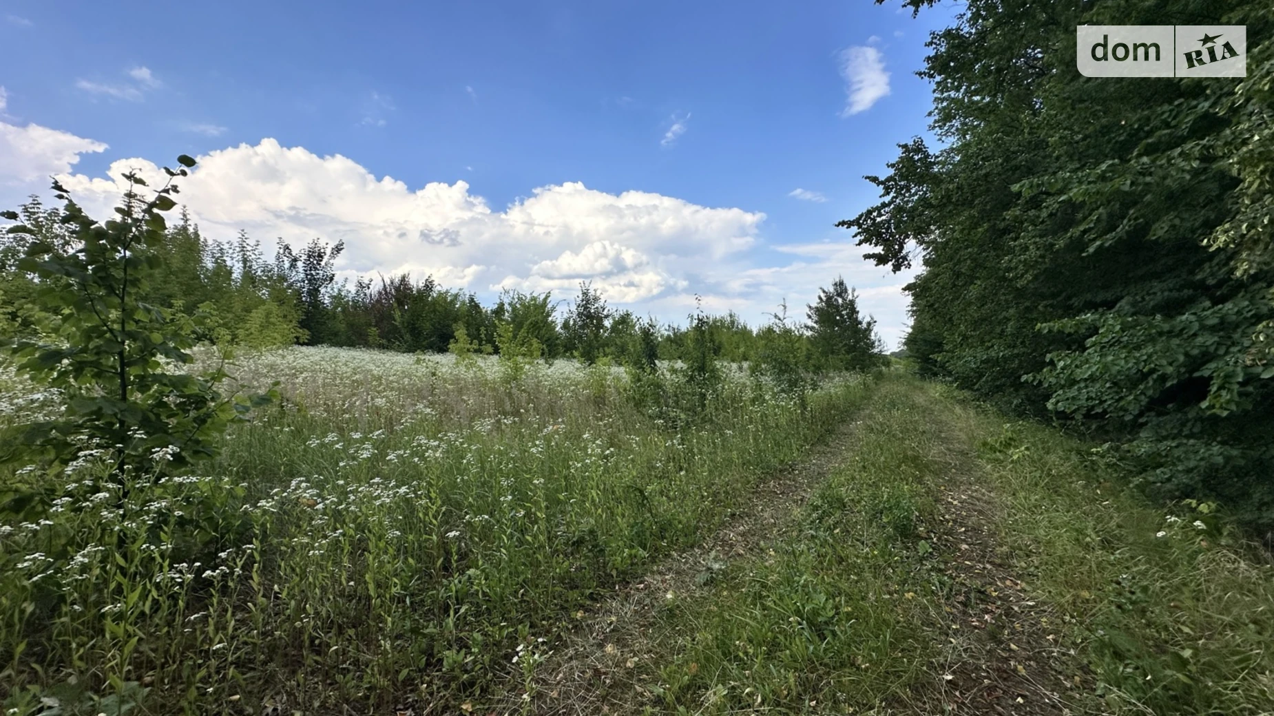 Продается земельный участок 8 соток в Винницкой области, цена: 11500 $ - фото 3