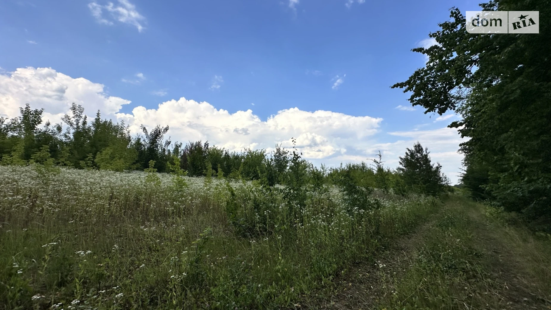 Продается земельный участок 8 соток в Винницкой области, цена: 11500 $ - фото 4