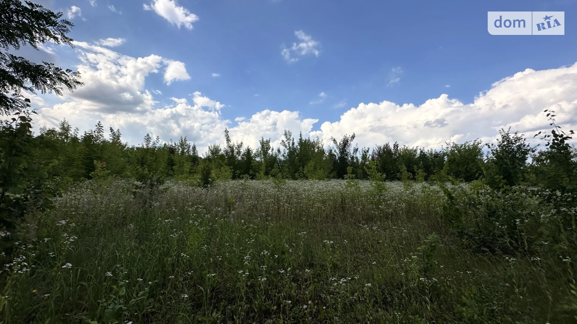 Продается земельный участок 8 соток в Винницкой области, цена: 11500 $ - фото 5