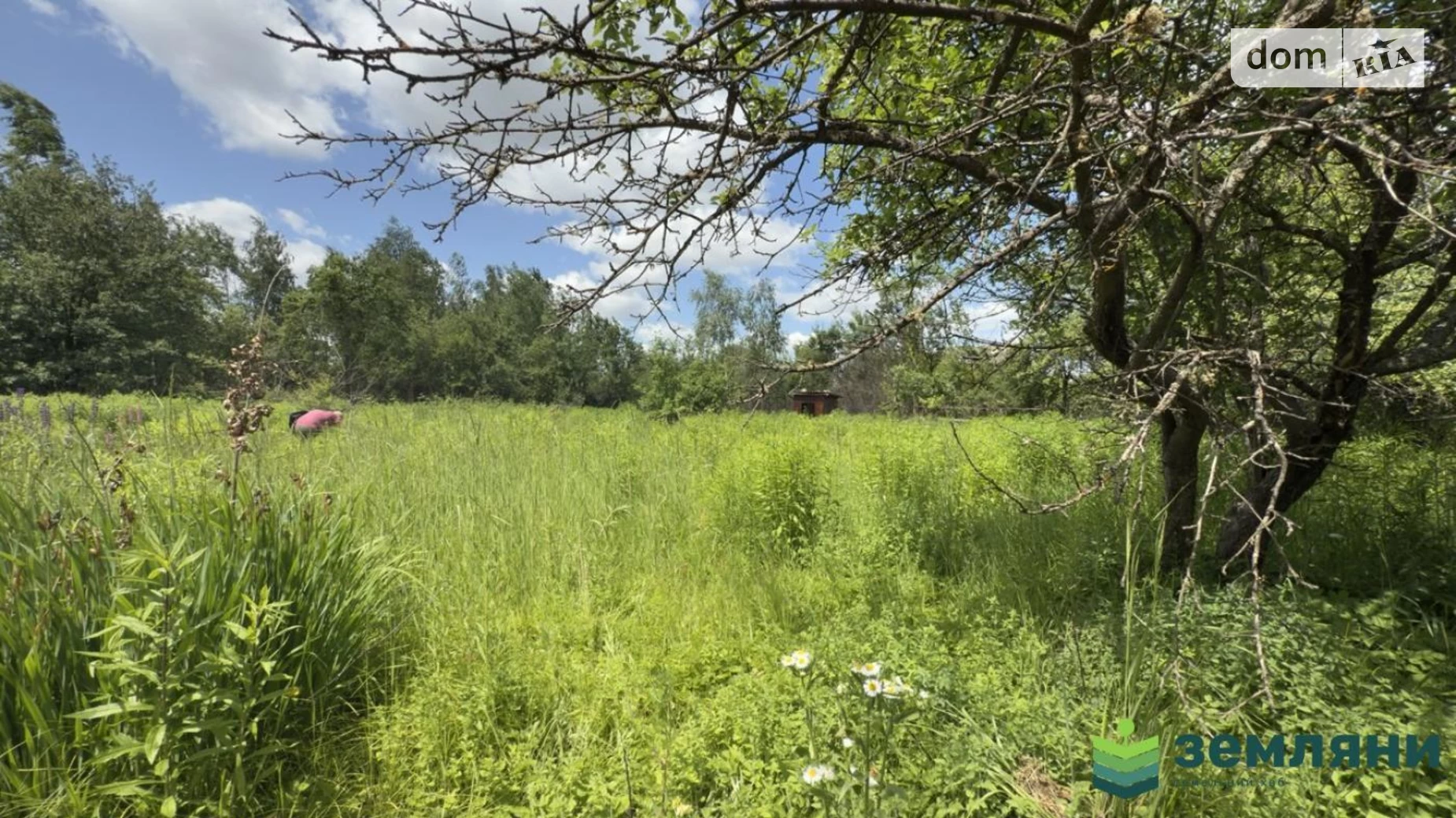 СТ Освітяни Черниев (Ивано-Франковск), цена: 5000 $ - фото 3