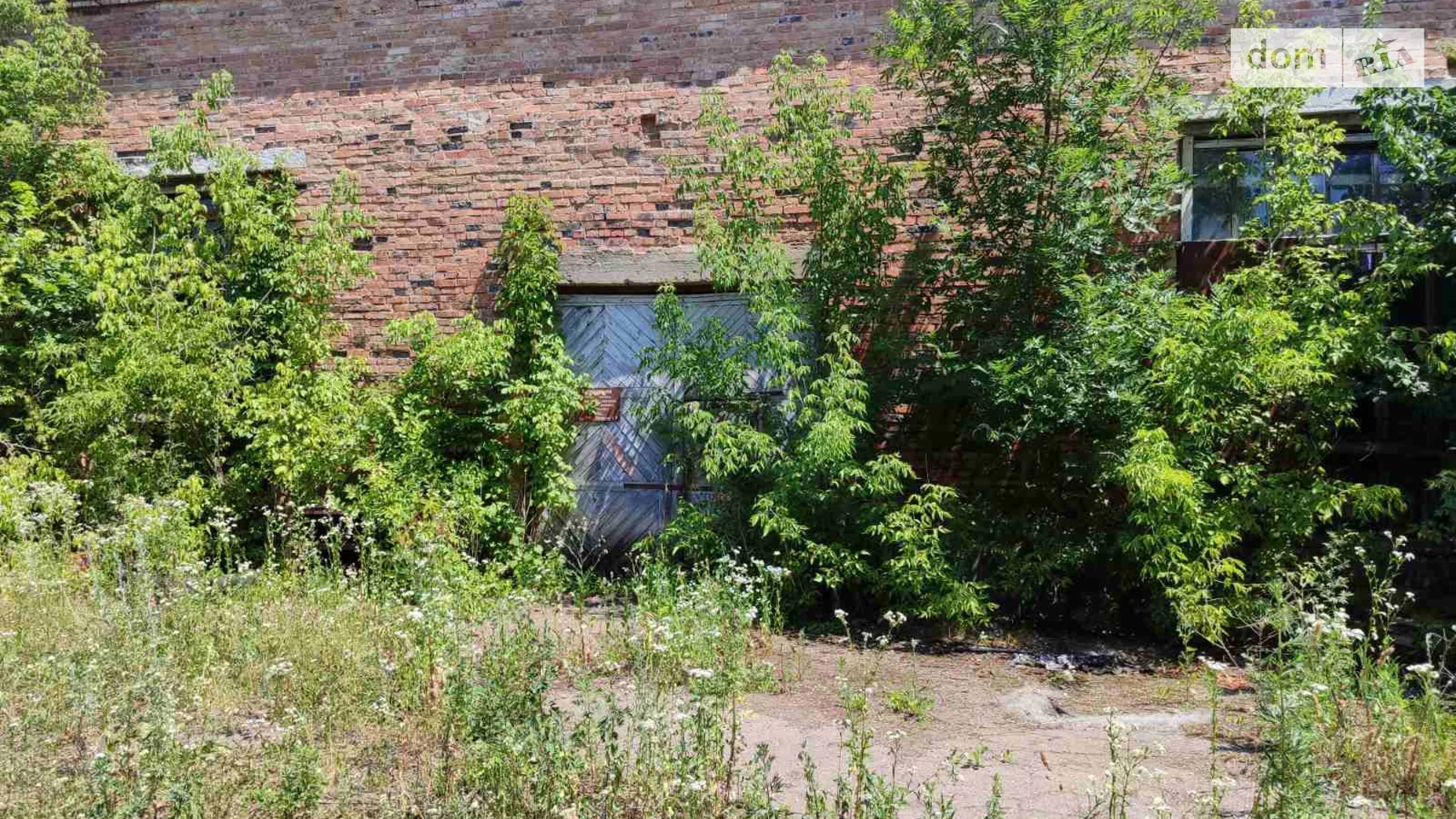 50-ти річчя Жовтня Вендичани, цена: 100000 $ - фото 2