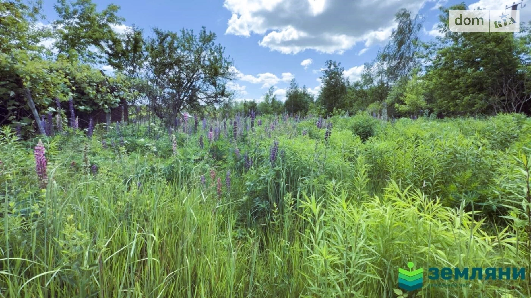 СТ Освітяни Черниев (Ивано-Франковск), цена: 4500 $ - фото 3