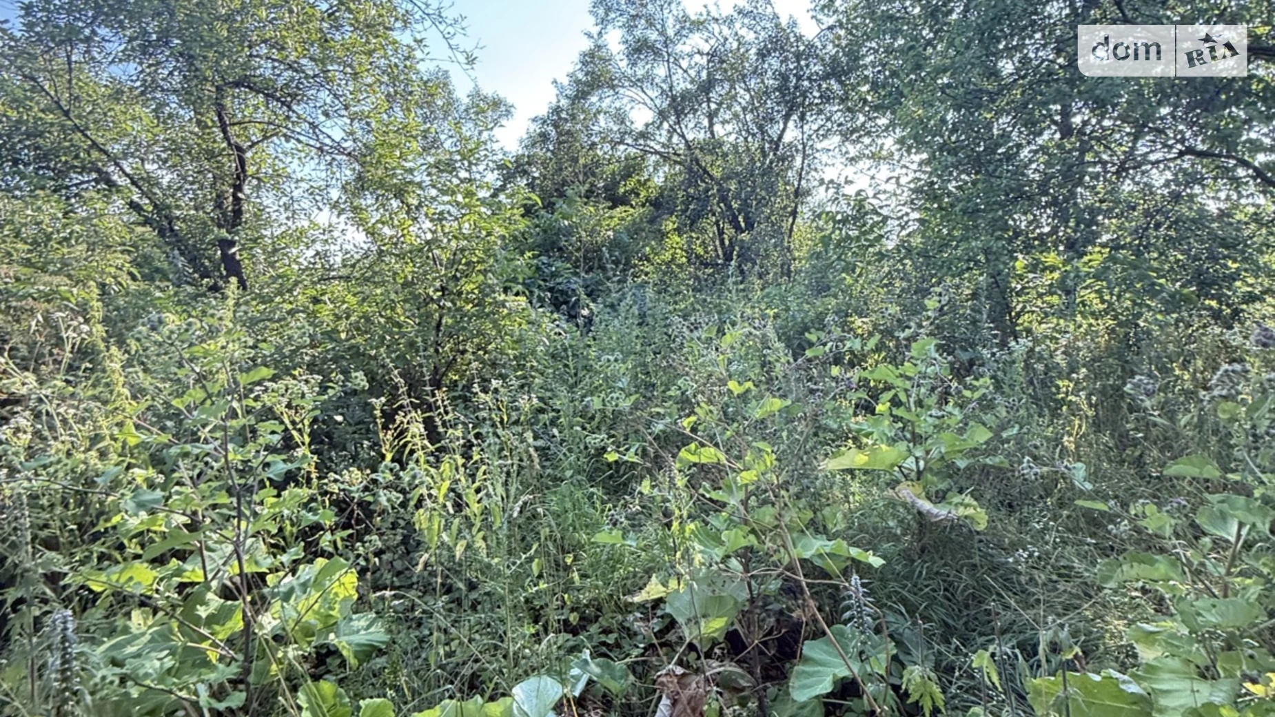 Продается земельный участок 20 соток в Винницкой области, цена: 14000 $ - фото 2