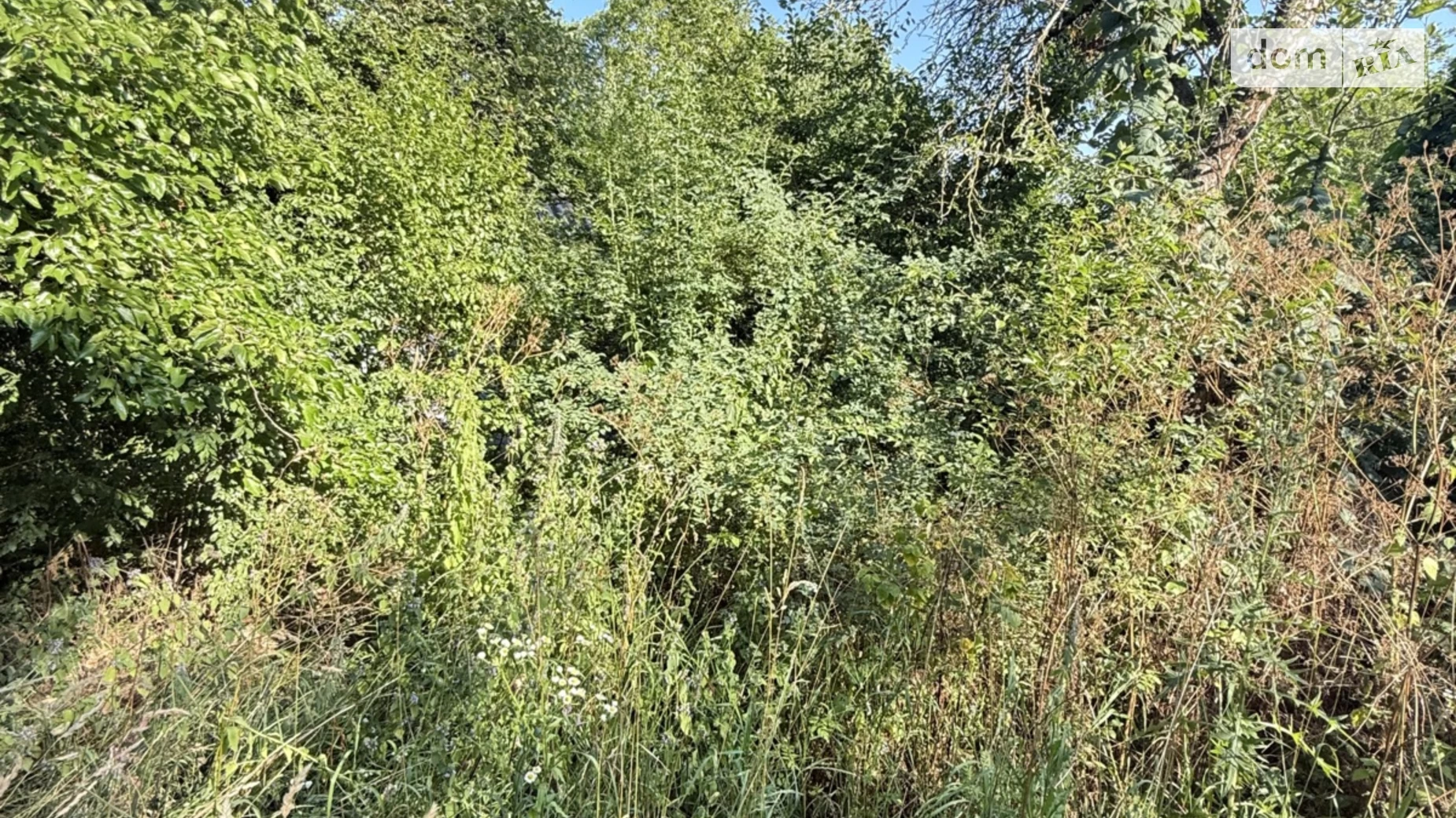 Продается земельный участок 20 соток в Винницкой области, цена: 14000 $ - фото 3