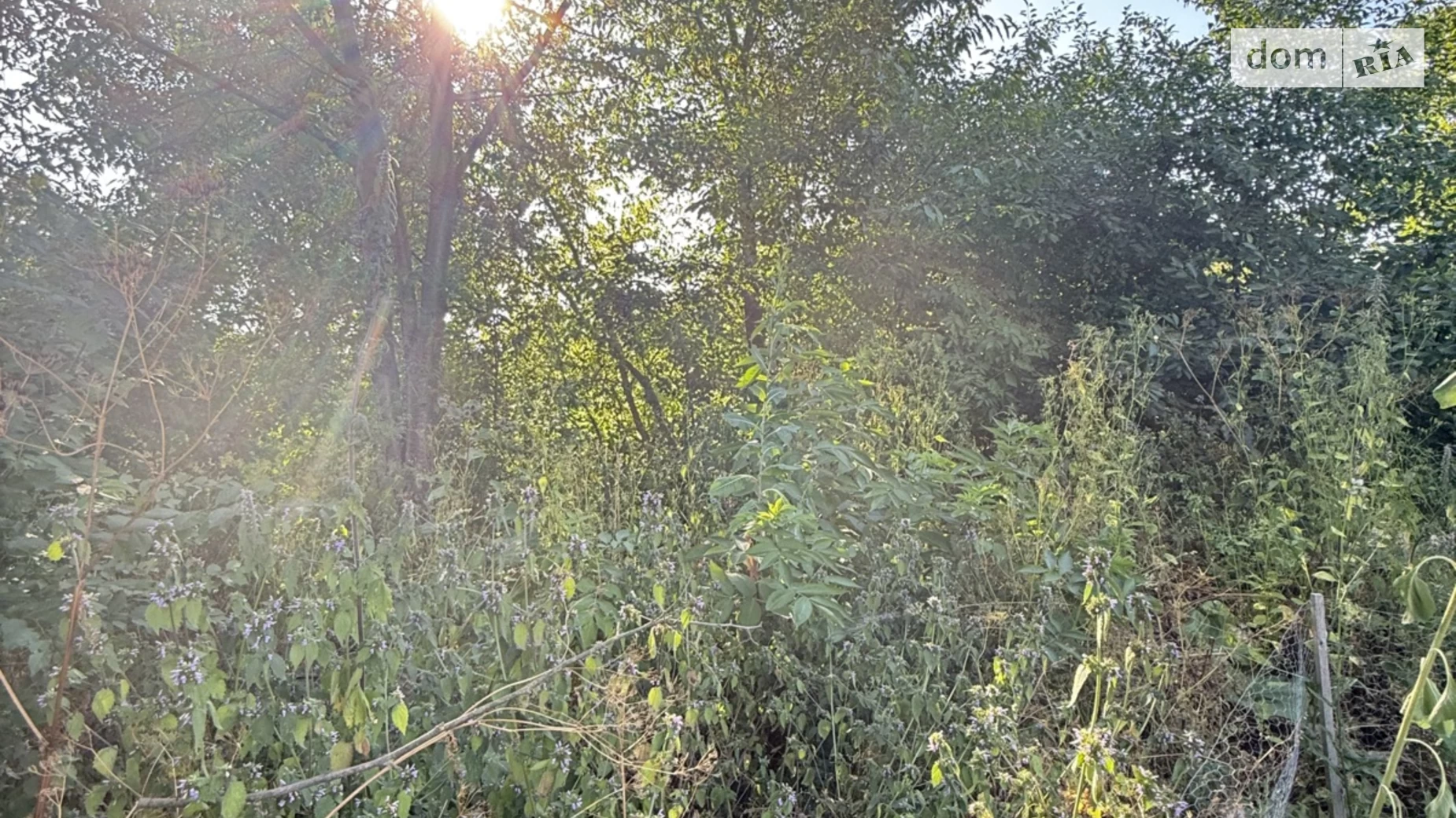 Продается земельный участок 20 соток в Винницкой области, цена: 14000 $ - фото 5