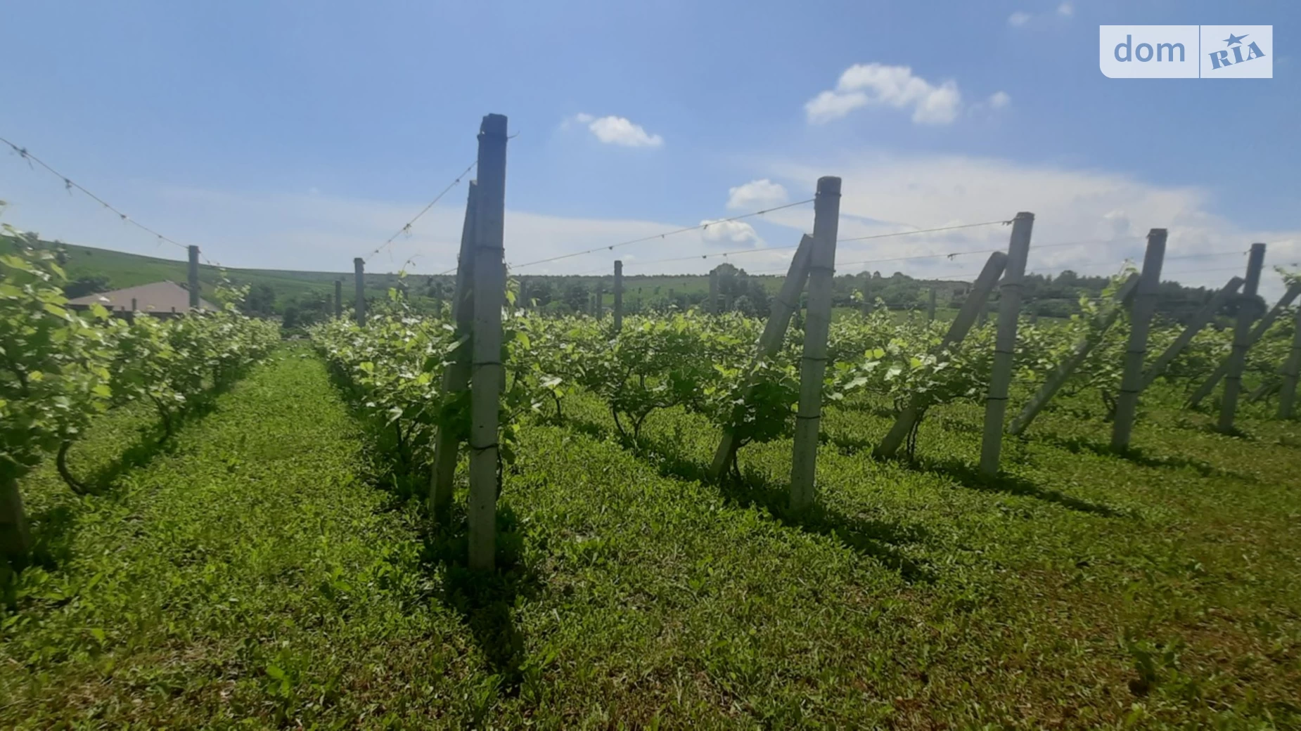 Продается одноэтажный дом 60 кв. м с верандой, цена: 35000 $ - фото 2