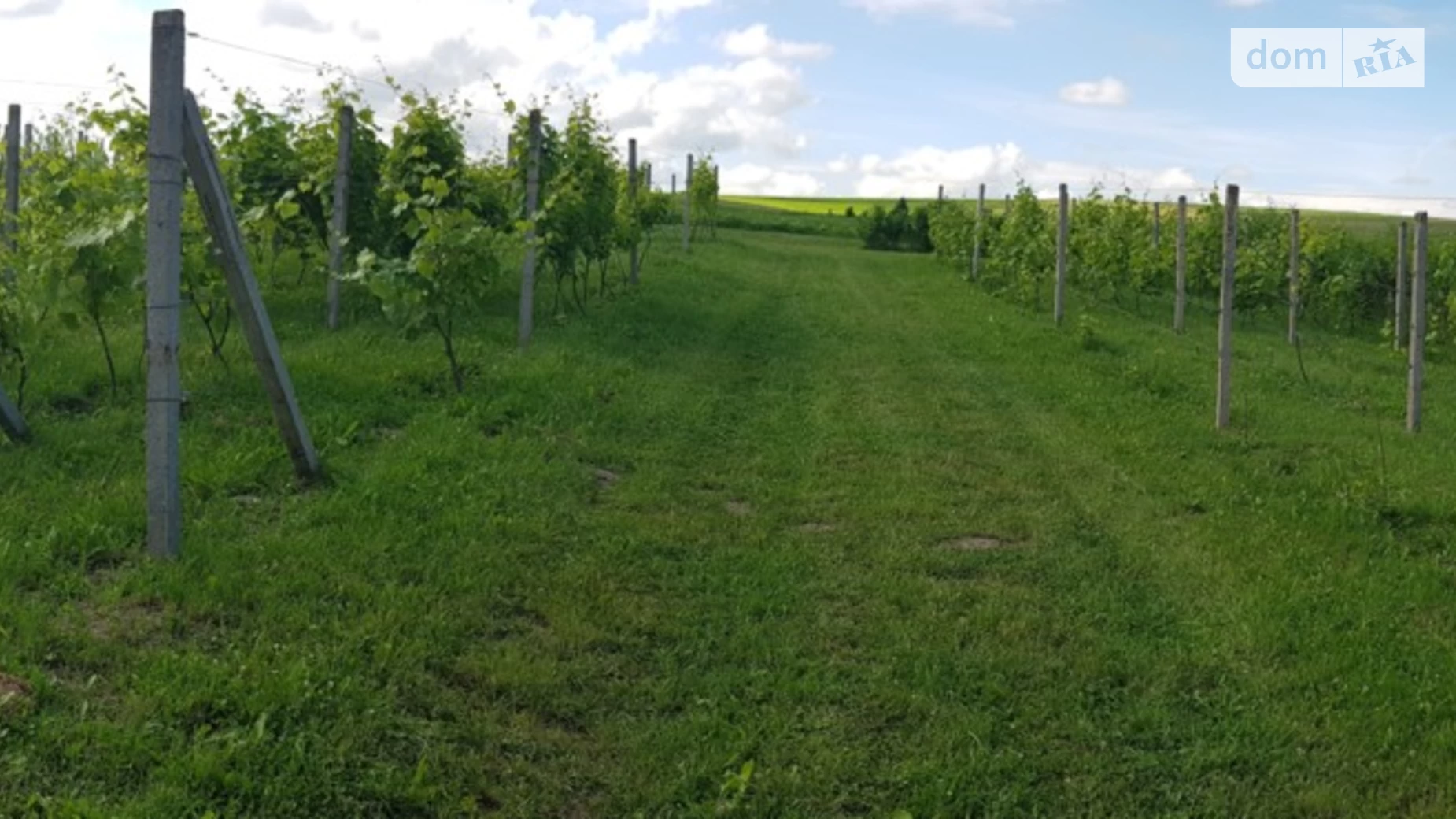 Продается одноэтажный дом 60 кв. м с верандой, цена: 35000 $ - фото 3