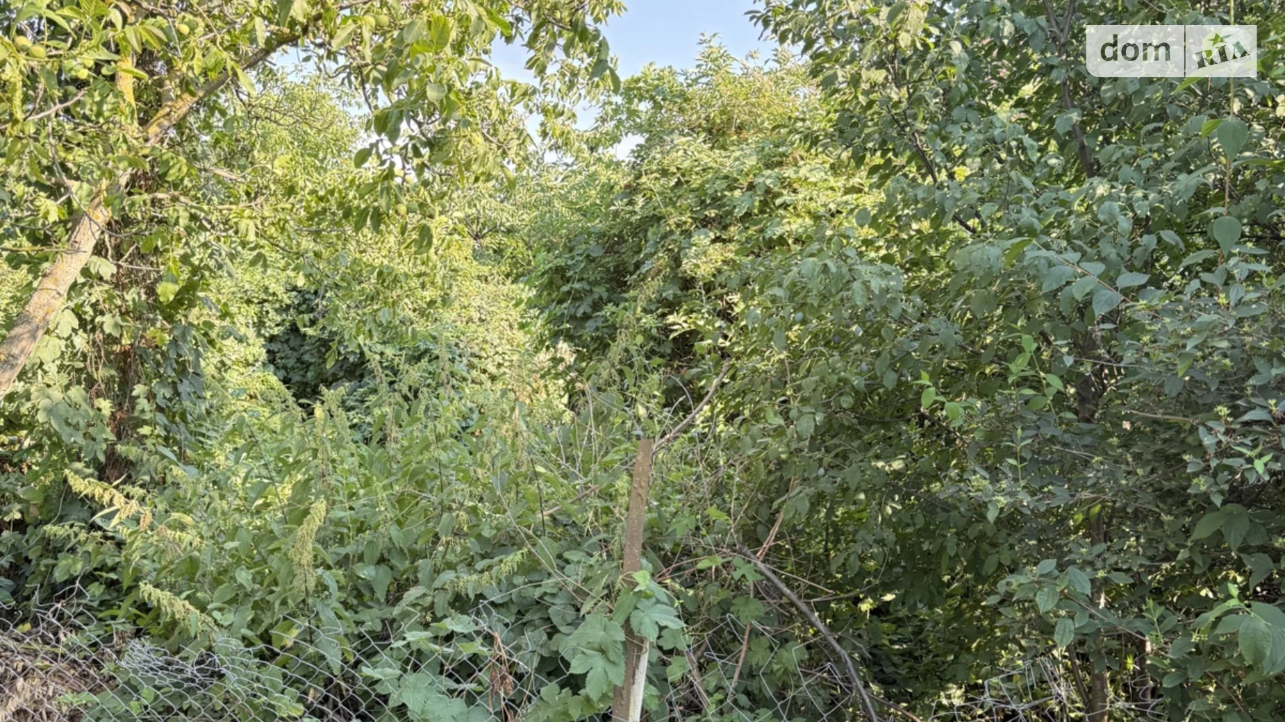 Продается земельный участок 10 соток в Винницкой области, цена: 7500 $ - фото 2