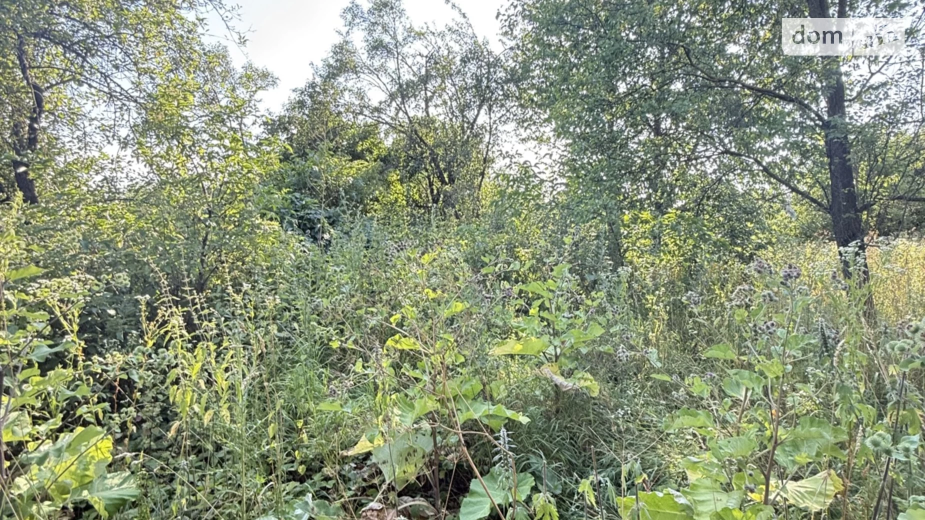 Продается земельный участок 10 соток в Винницкой области, цена: 7500 $ - фото 4