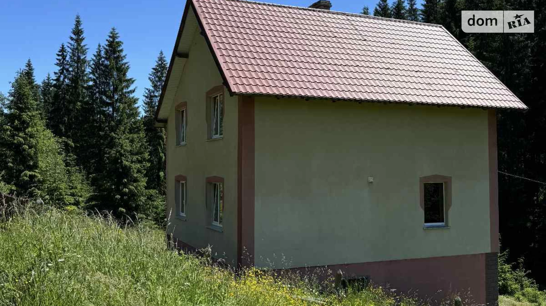 уроч. Грунь Длинный, 394А Яблуница, цена: 135000 $ - фото 4