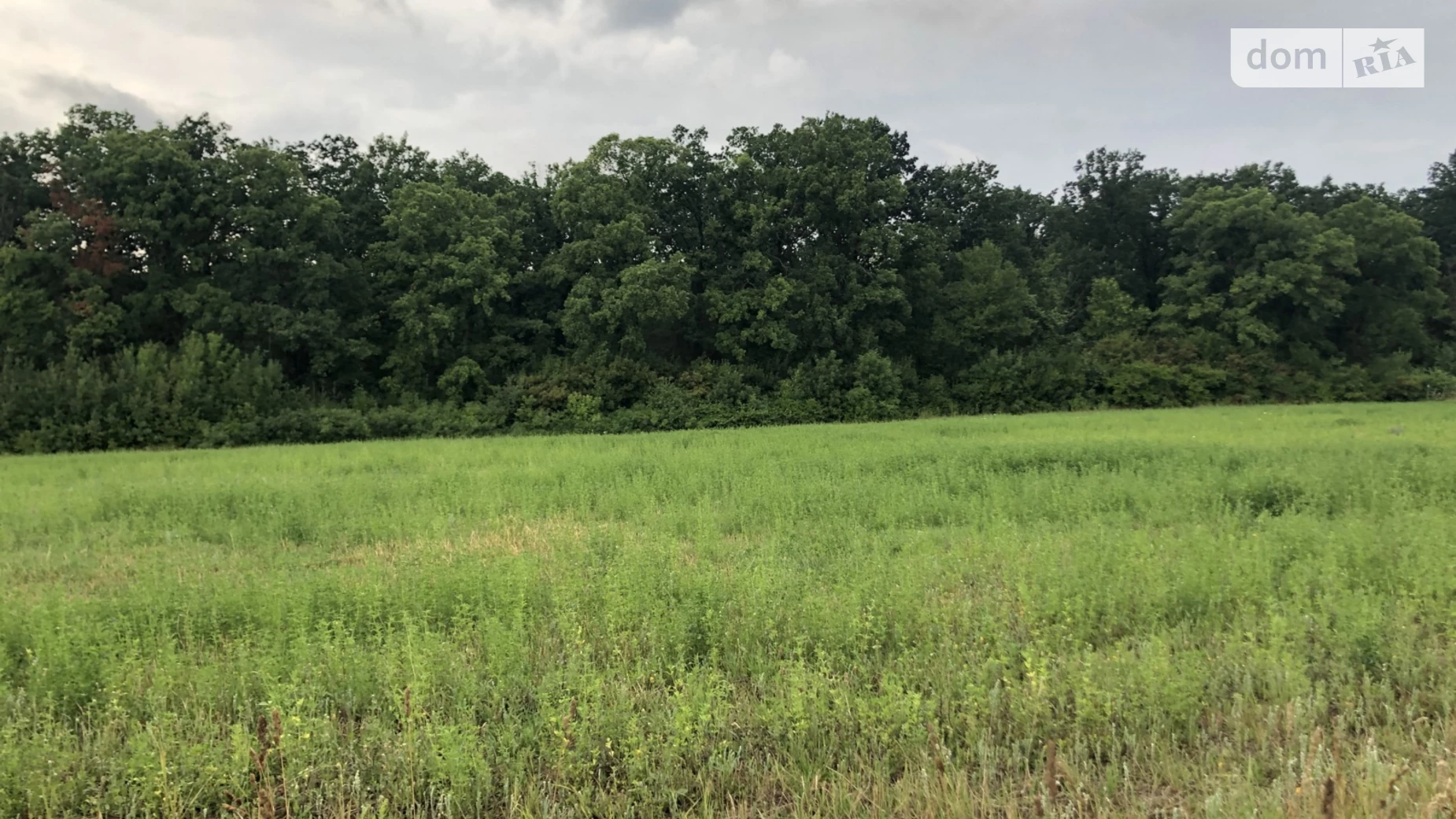 Продается земельный участок 18.5 соток в Винницкой области, цена: 7000 $ - фото 3