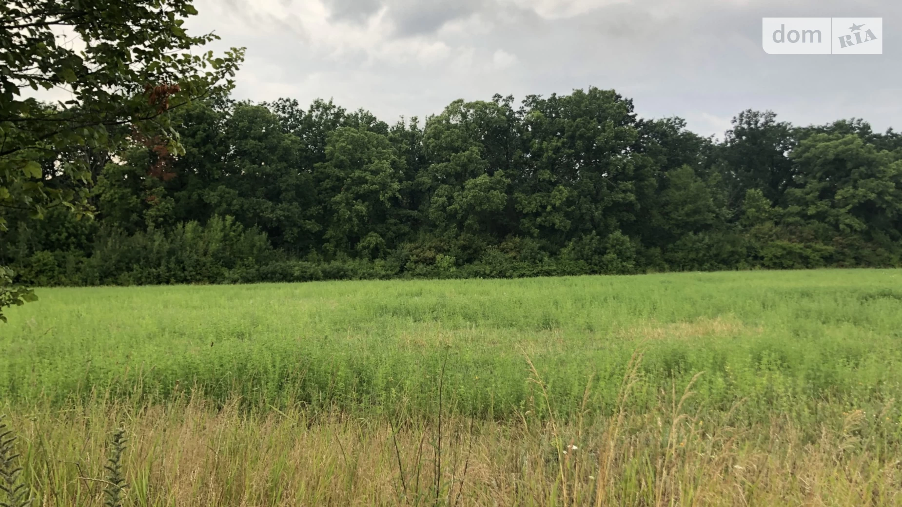Продается земельный участок 18.5 соток в Винницкой области, цена: 7000 $ - фото 4