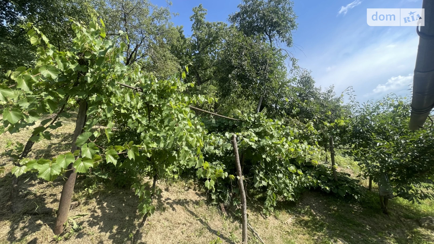 Продается одноэтажный дом 41.5 кв. м с камином, цена: 23000 $ - фото 2