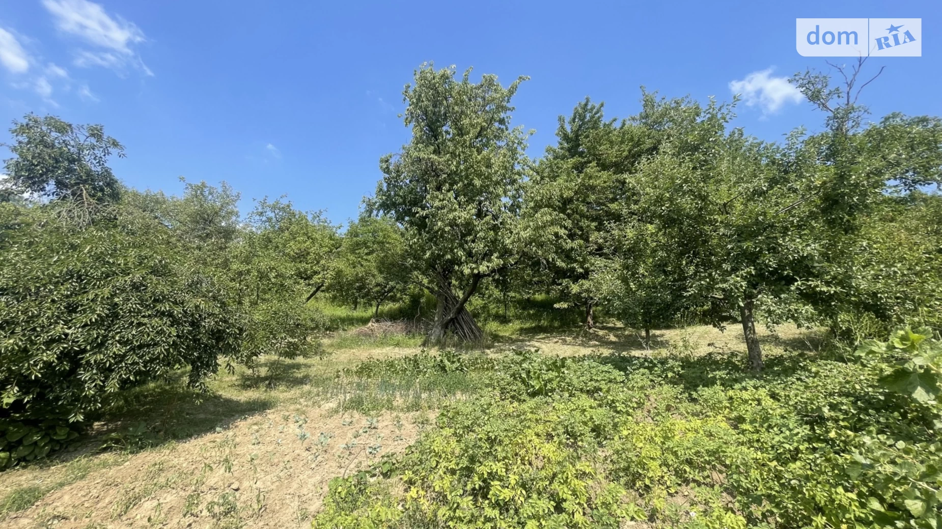 Продается одноэтажный дом 41.5 кв. м с камином, цена: 23000 $ - фото 3