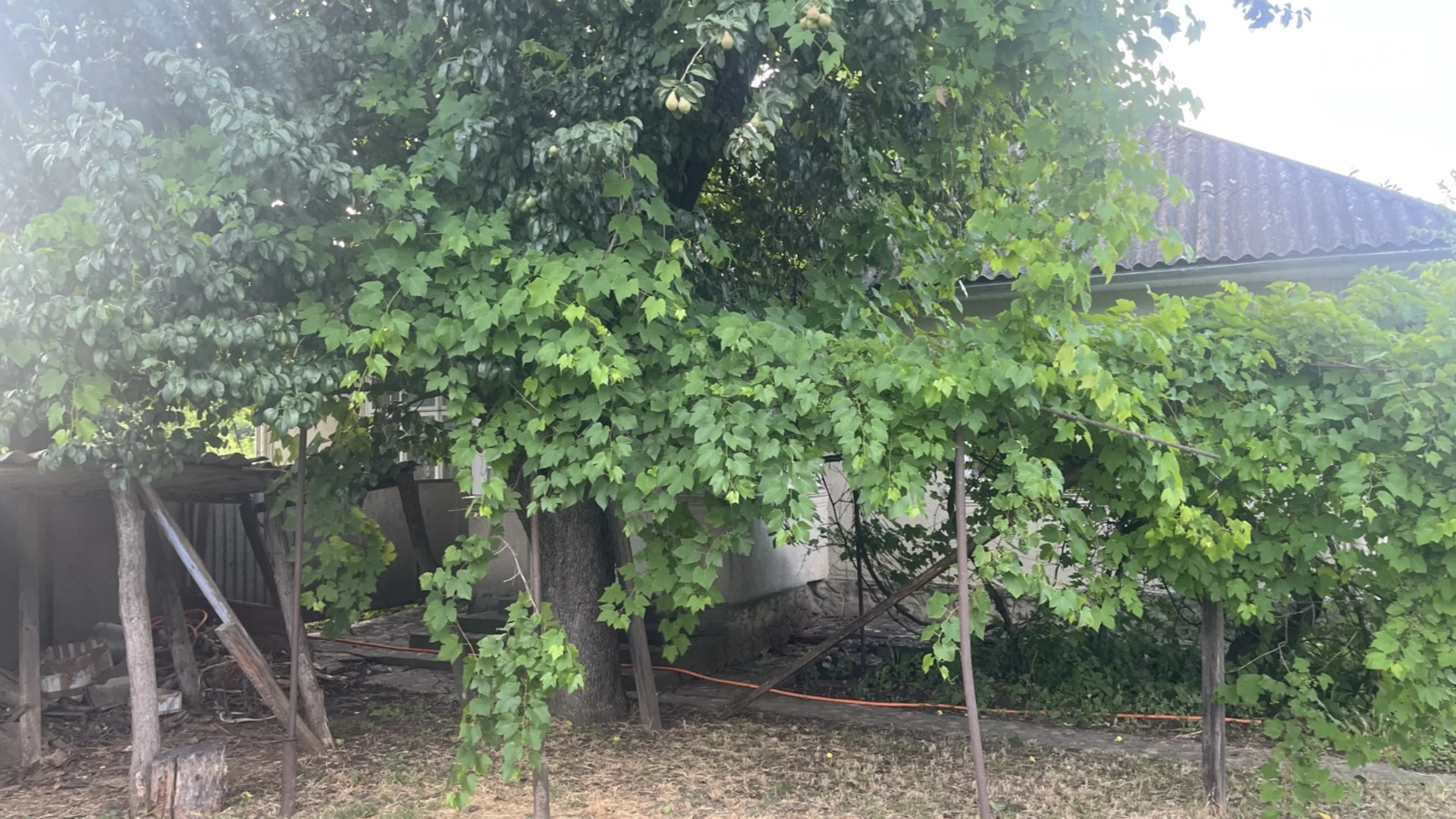 Продается одноэтажный дом 60.26 кв. м с мансардой, цена: 16000 $ - фото 5