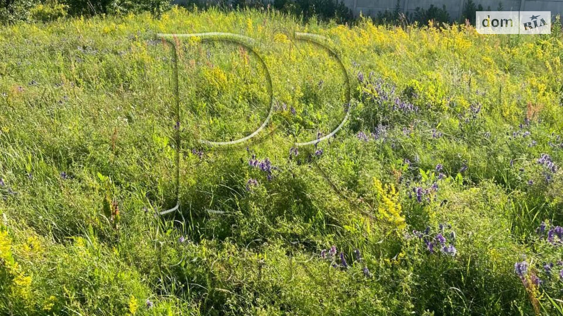 Глибочицька Пуховка, цена: 10000 $ - фото 2