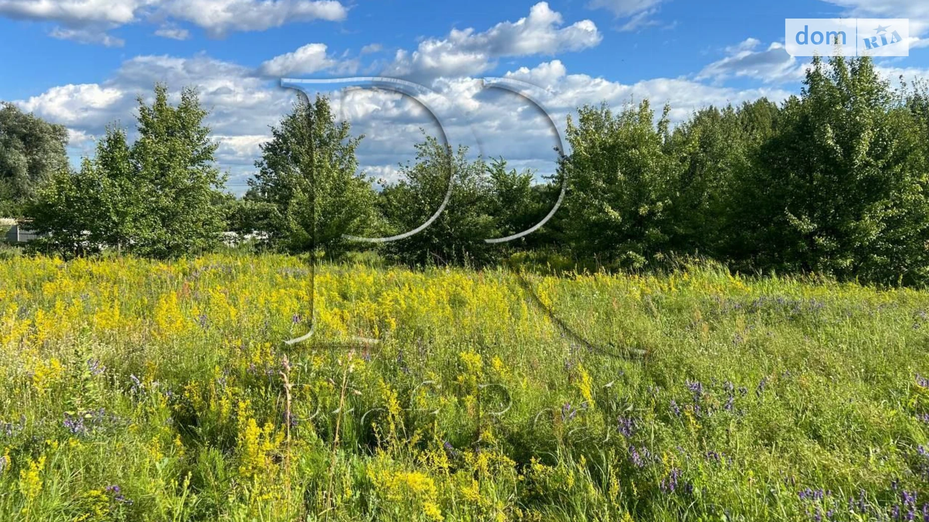 Глибочицька Пуховка, цена: 10000 $ - фото 3