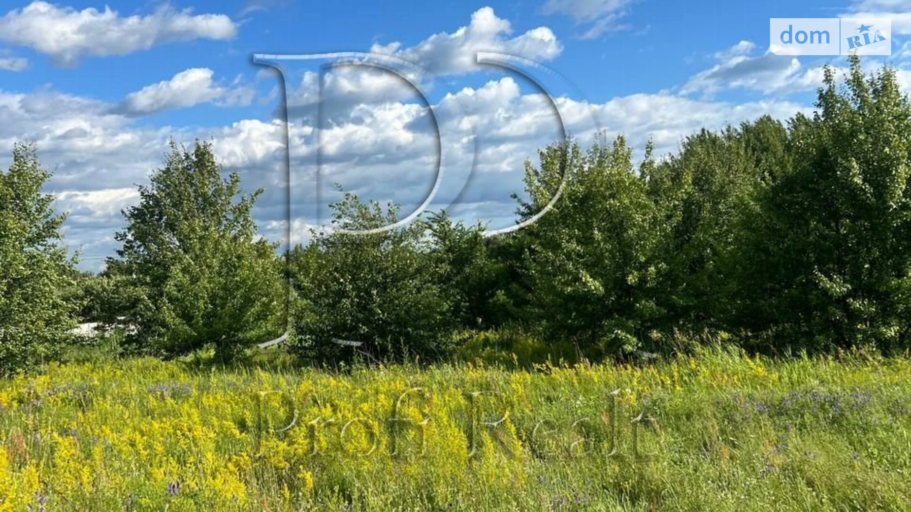 Глибочицька Пуховка, цена: 10000 $ - фото 5