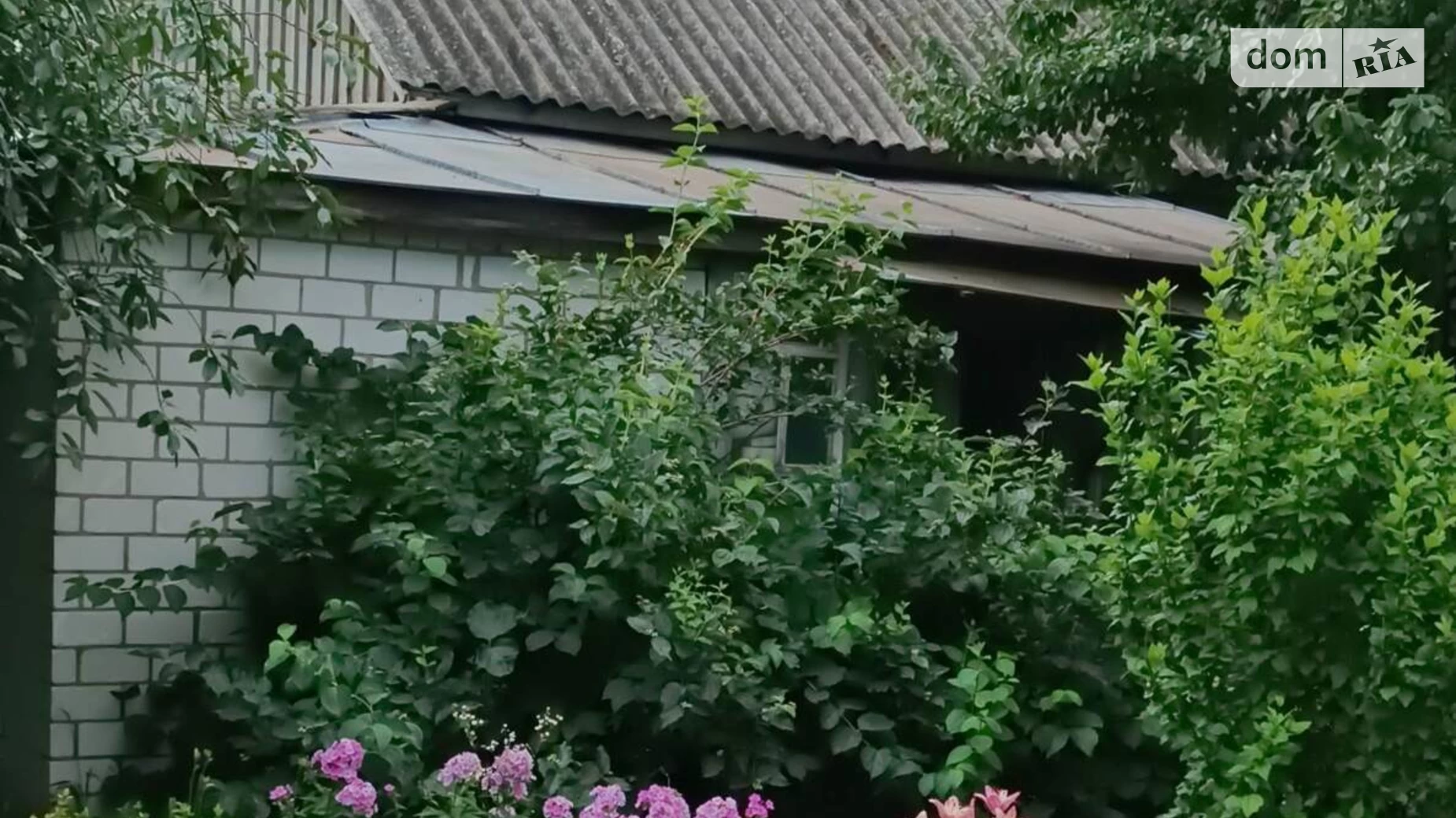 ул. Набережная Носовка, цена: 14000 $ - фото 3
