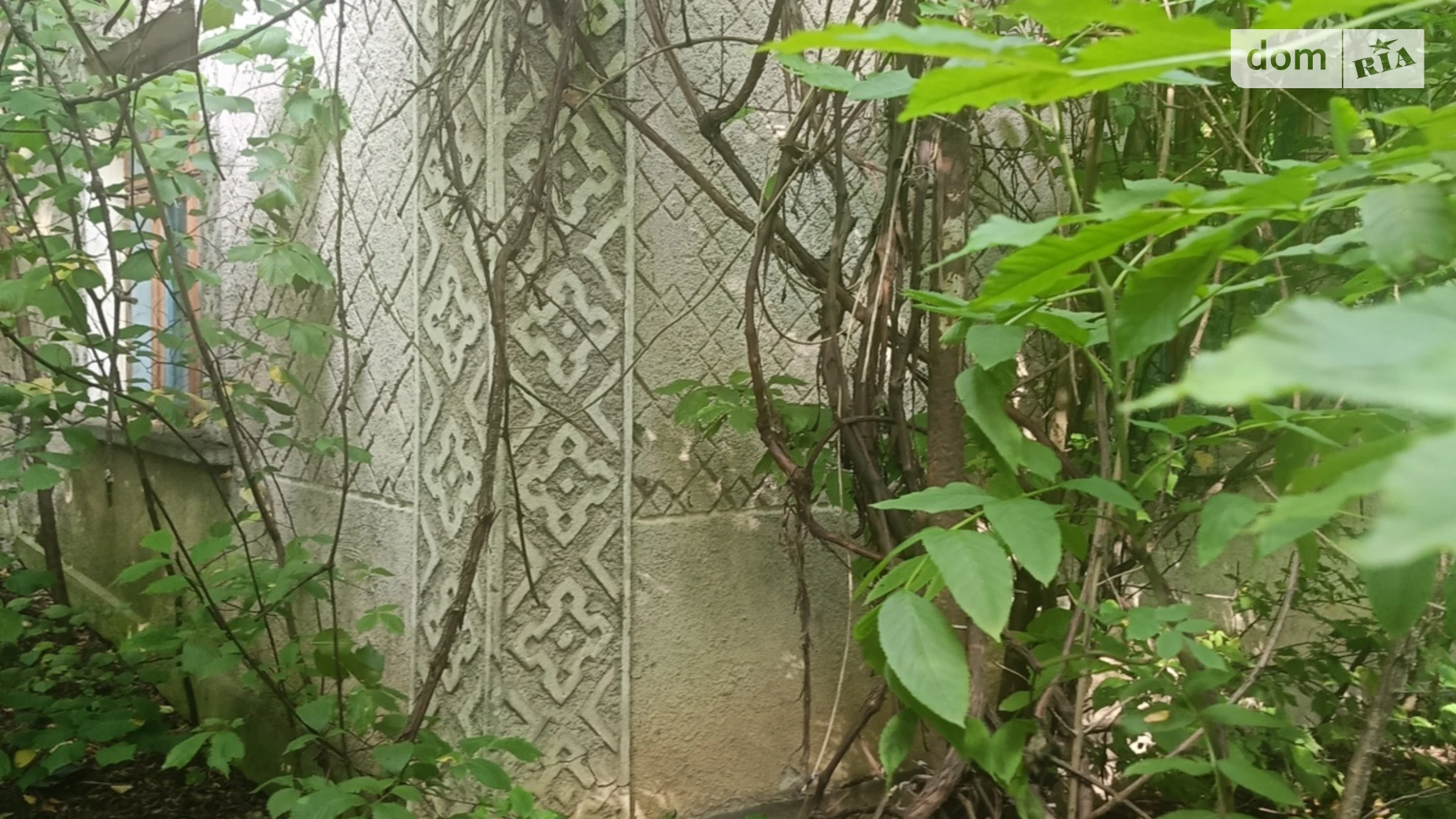 Продается одноэтажный дом 56.1 кв. м с подвалом, цена: 4000 $ - фото 2