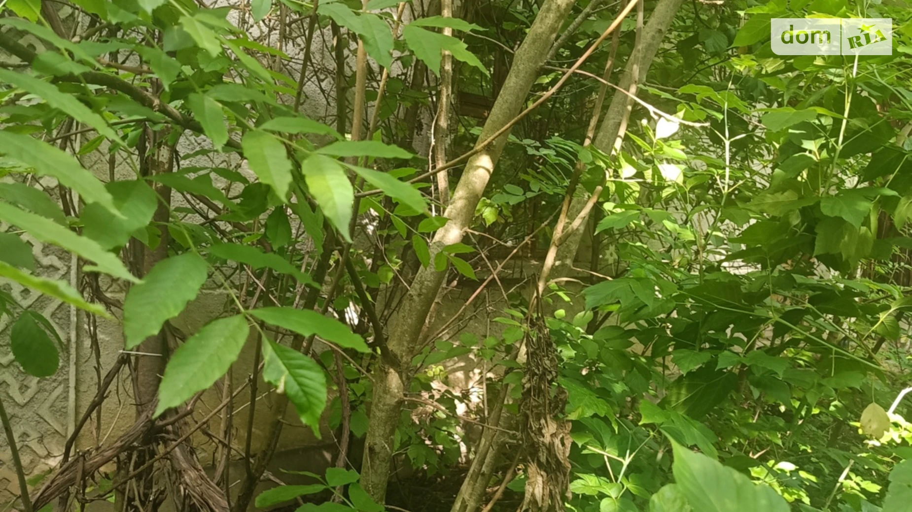 Продается одноэтажный дом 56.1 кв. м с подвалом, цена: 4000 $ - фото 4