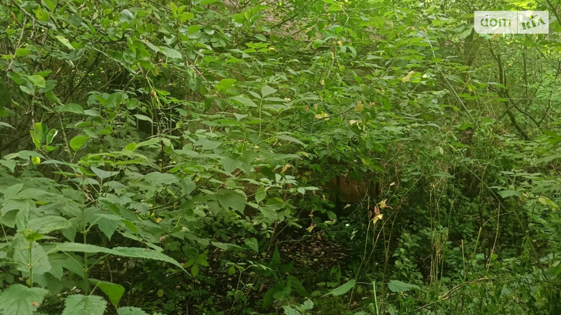 Продается одноэтажный дом 56.1 кв. м с подвалом, цена: 4000 $ - фото 5