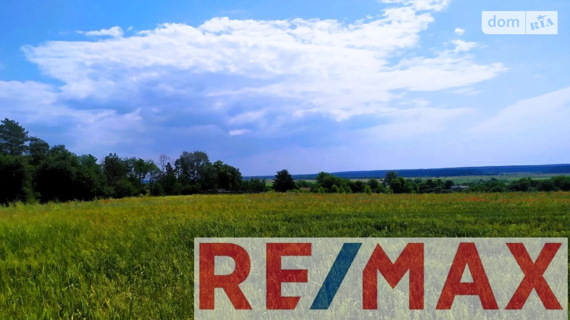 ул. Шевченко(Ленина) Литвиновка, цена: 40000 $ - фото 2