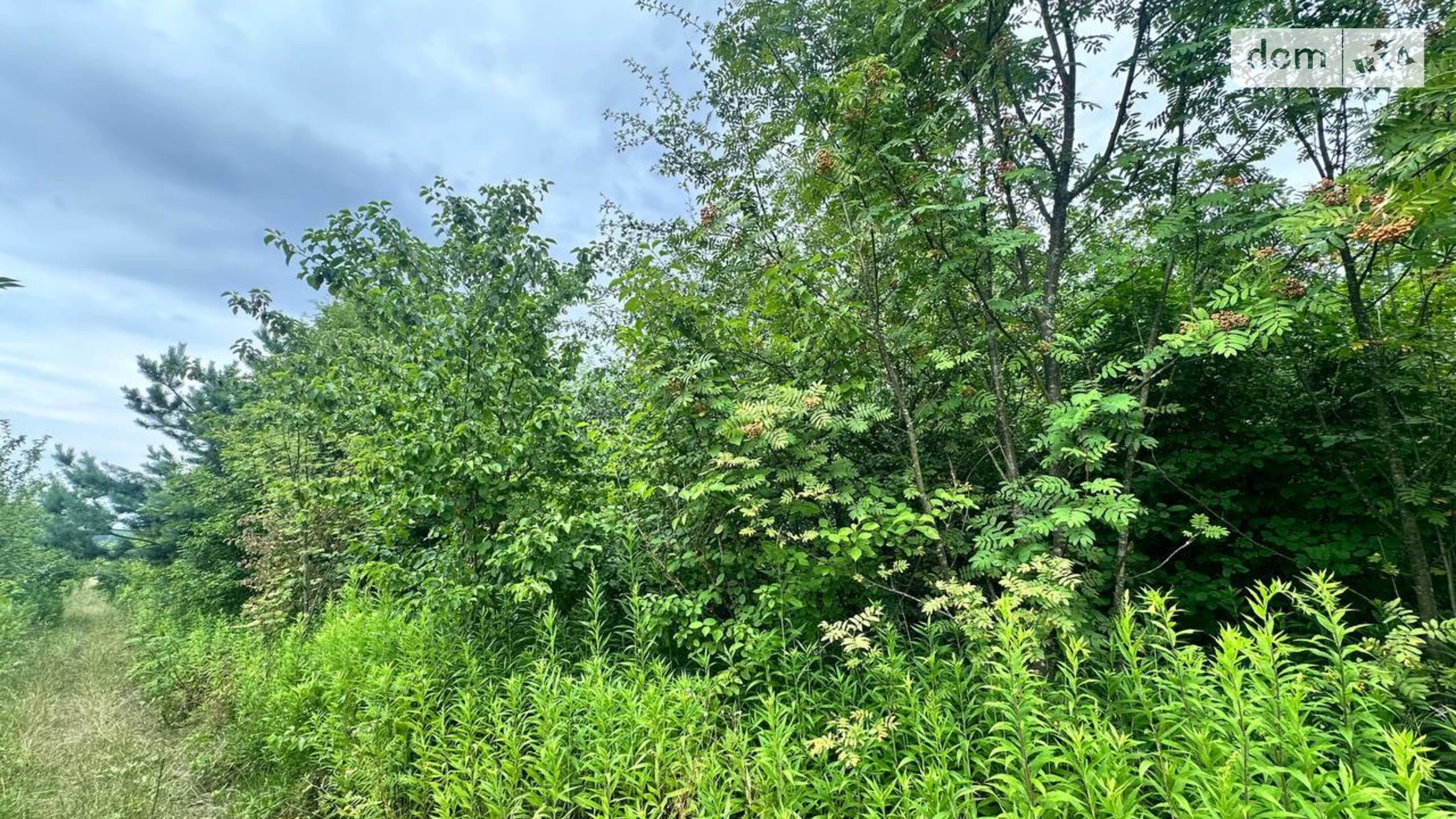 Продается земельный участок 10 соток в Львовской области, цена: 20000 $ - фото 3