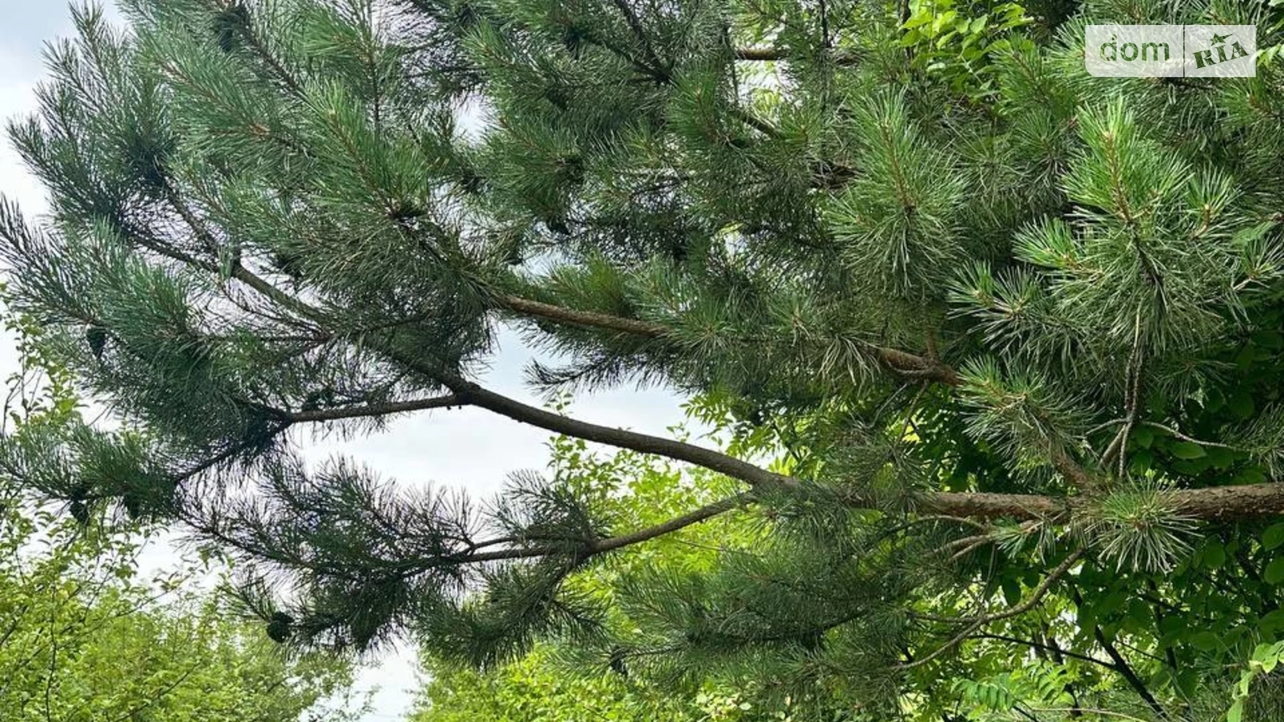 Продается земельный участок 10 соток в Львовской области, цена: 20000 $ - фото 2