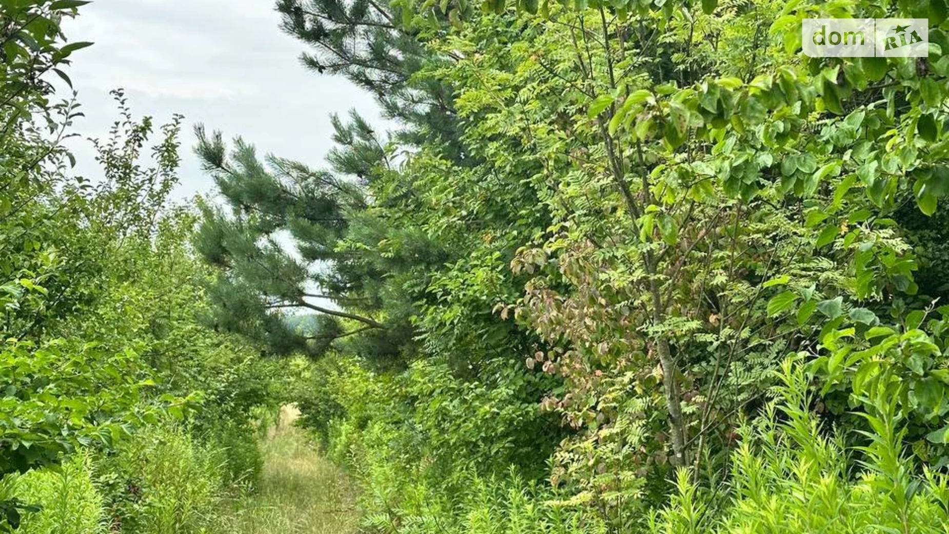 Продается земельный участок 10 соток в Львовской области, цена: 20000 $ - фото 4