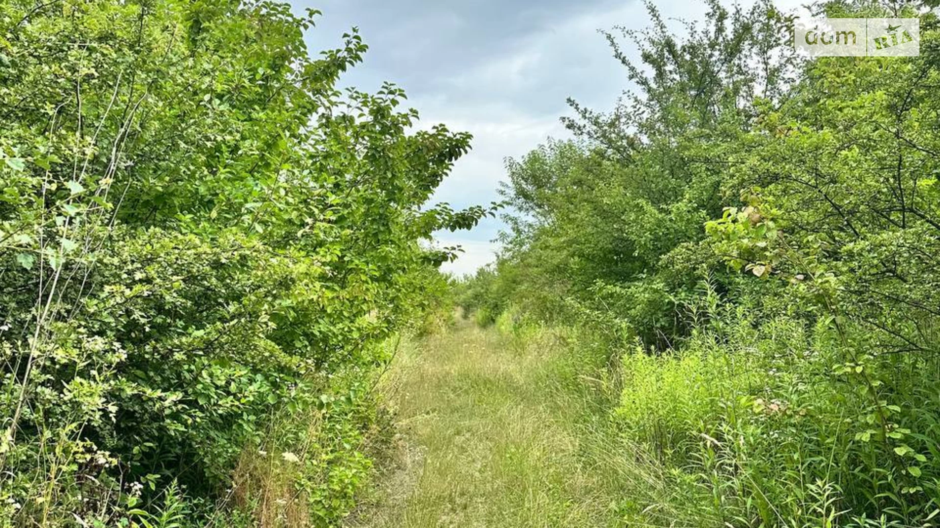 Продается земельный участок 10 соток в Львовской области, цена: 20000 $ - фото 5